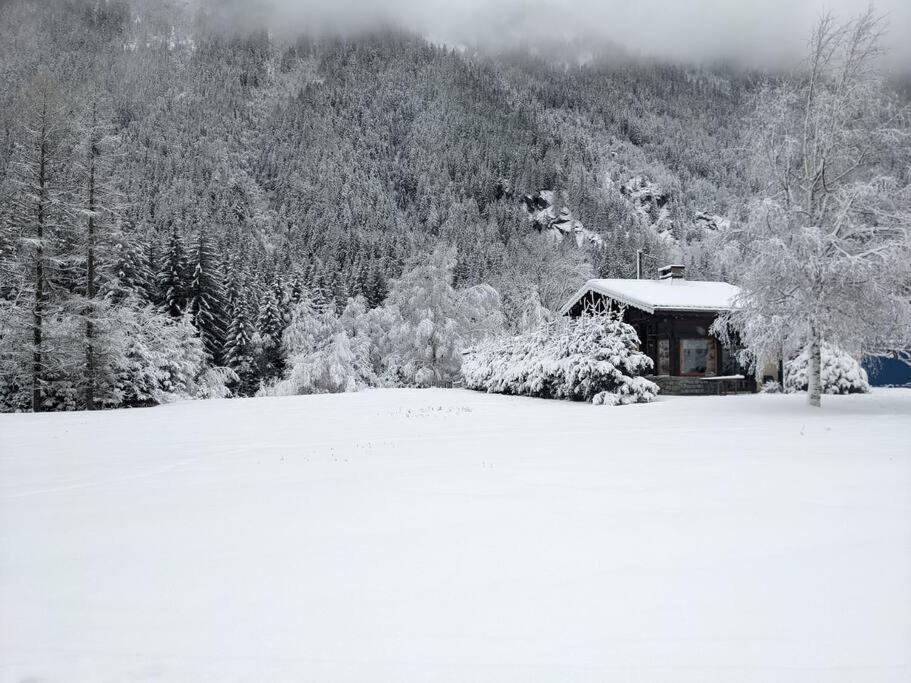 Chalet L'Ilet Ensoleille /Sunny Island Chalet 샤모니 외부 사진
