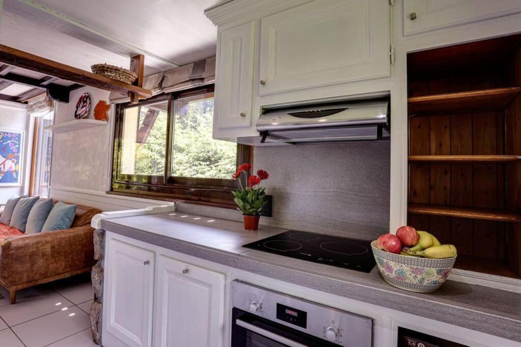Chalet L'Ilet Ensoleille /Sunny Island Chalet 샤모니 외부 사진